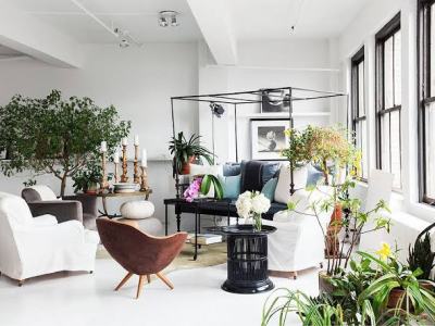 How to Use Feng Shui to Create a Serene Home
